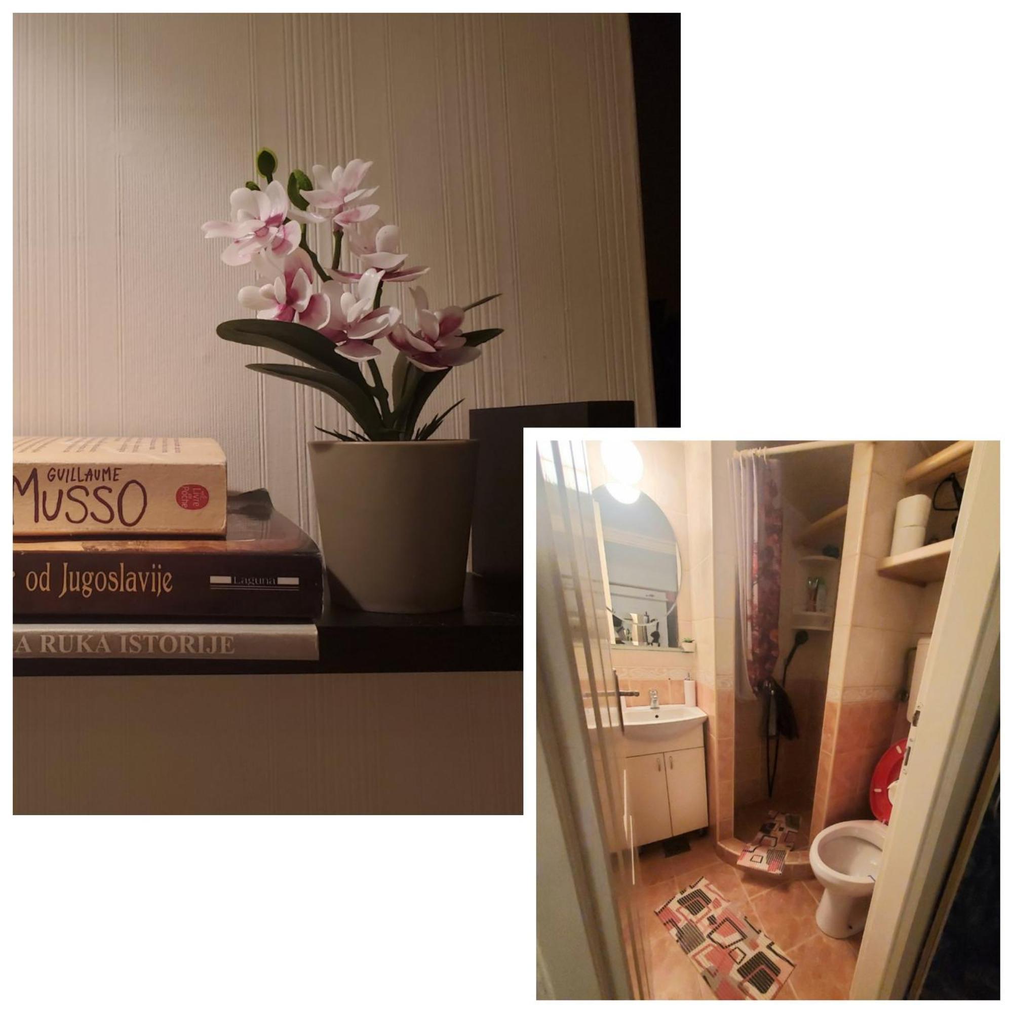 Glorry M Apartment เบลเกรด ภายนอก รูปภาพ